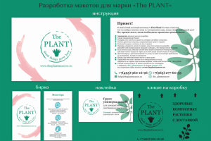 Разработка дизайна для марки "The PLANT"