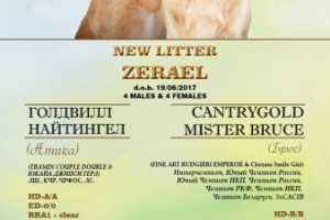 объявление