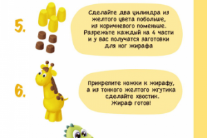 Иллюстрация и верстка для детской мини книги