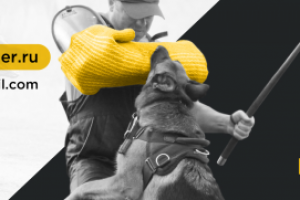 Обложка ВК для кинологов IDogTeacher