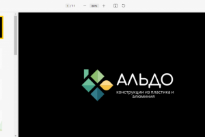 Презентация для компании "Альдо"