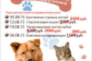 Листовка А6