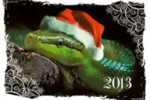 Календарь карманный