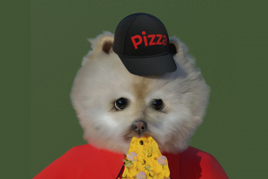 Dog nft concept ||| Собака на Open Sea