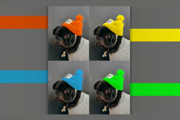 img4462104.png