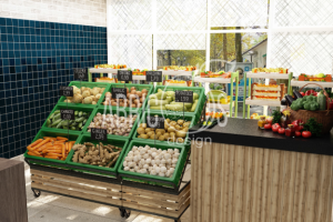 Бутово ФО вид 2