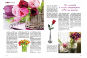 Журнальный разворот