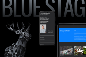 Редизайн сайта цифрового агентства Blue Stag