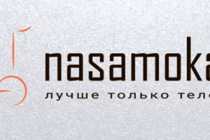 Логотип для компании по продаже электросамокатов