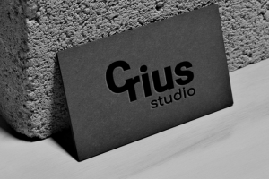 Логотип для веб-студии