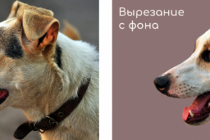 Вырезание с фона