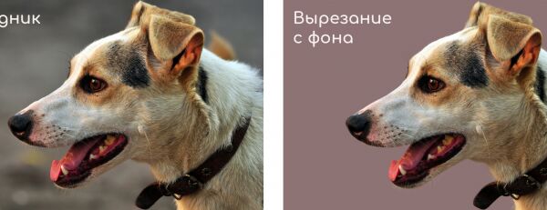 img3801708.png