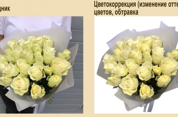 img3574869.png