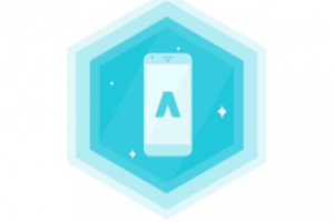 Сертификат специалиста .Adwords(Мобильная реклама)