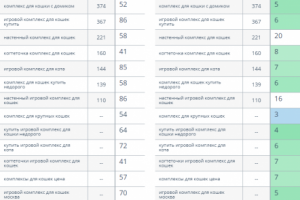 Продвижение магазина по продаже комплексов для кошек