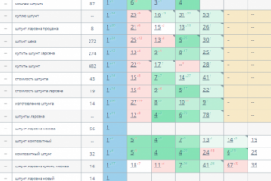 В ТОП-1 за 4 месяца