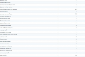Продвижение магазина по продаже товаров для единоборств