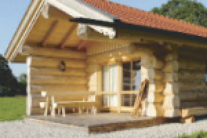 От генерального директора + технологии