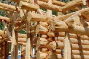 Рубка домов из дерева (О компании)