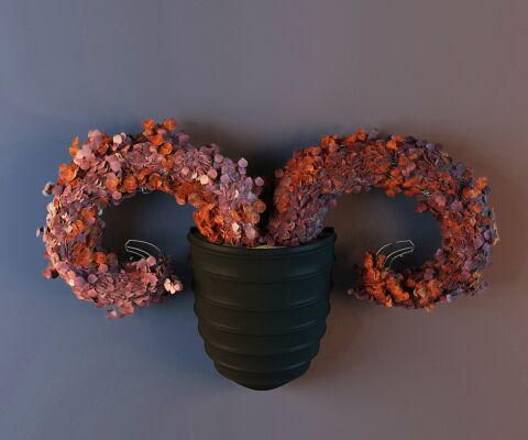 img3178221.png