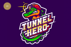 Логотип для VPN сервиса - Tunnel Hero