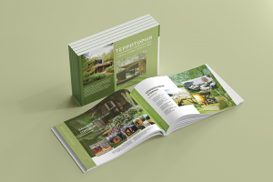 презентация ФриДом