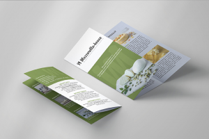 буклет mozzarella-house