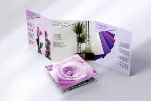 буклет Флорентина