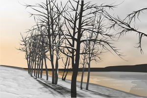 зима...закат