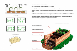Схема высоких грядок эскизного ланд. проекта Воздушный сон