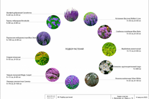 Ландшафтный дизайн участка