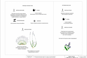 Ландшафтный дизайн участка