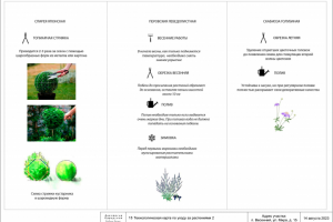 Ландшафтный дизайн участка