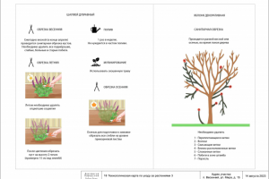 Ландшафтный дизайн участка