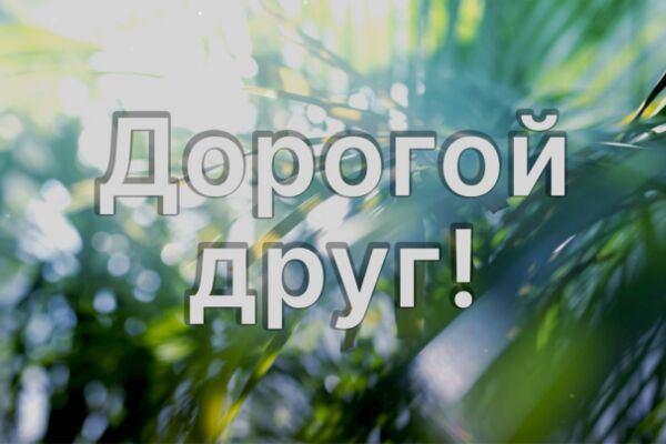 img4427312.png