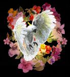 img2676582.png