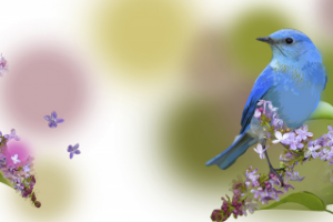 Пасхальные птички_3