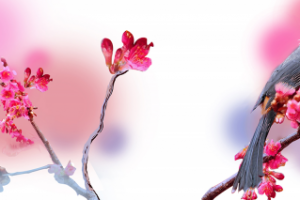 Пасхальные птички_1