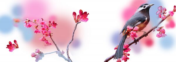 img3168311.png