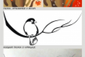 Bullfinch. Снегирь.