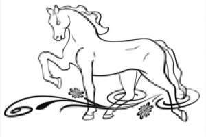 Конь на лугу.Horse in a meadow