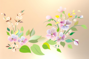 Фиалки. Violets.