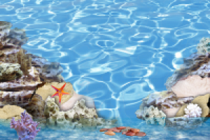 Эскиз аквариума V2