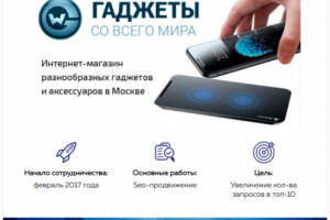 Кейс по продвижению интернет-магазина world-gadgets