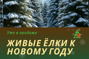 Баннер для магазина на Авито