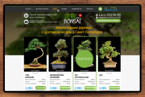 Bonsai.spb.ru / Миниатюрные деревья Бонсай с доставкой на дом.