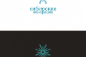 Сибирские инновации