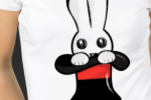 Студия-фокус