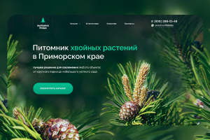 «Марьина Роща» — питомник хвойных растений