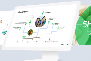 Shocc «под ключ»
